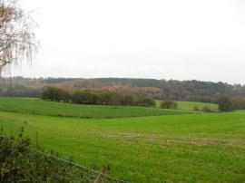 View from Carterslodge Lane