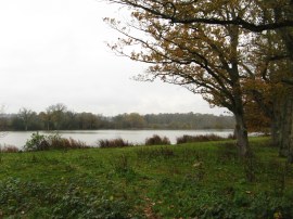 Furnace Pond, Slaugham
