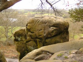 Stone Farm Rocks