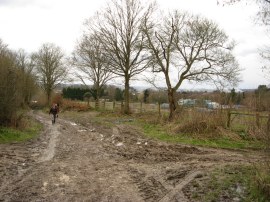 Track from Tablehurst Farm
