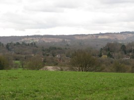 View towards Ashdown Forest