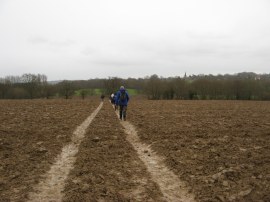 Ploughed field on the way to Hartfield