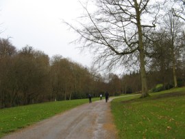 Path through the Buckhurst Estate