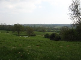 View from Tidymotts Lane