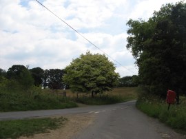 Woodcock Road