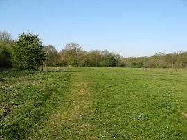 Jubilee Country Park, Petts Wood