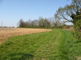 Path besides Bogey Lane