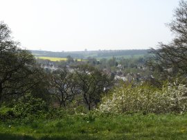 View from Hayes Common