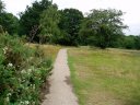 Path by Bentley Priory