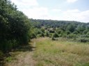 London Loop path, Epping Forest