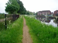Path besides Hackney Marshes