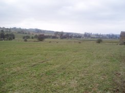 Fields besides the River Manifold