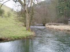 River Dovel