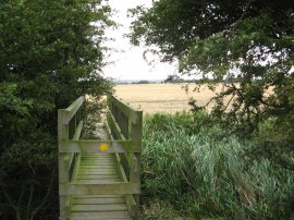 A slightly overgrown footbridge