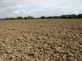Ploughed Field, Romney Marsh