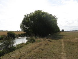 Royal Military Canal by St Rumwold's Church