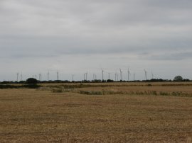 Camber Wind farm