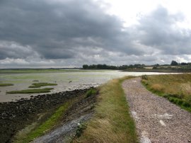 Copperhouse Marshes