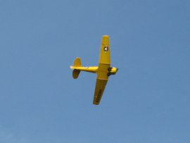 Acrobatic plane