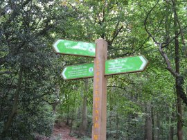 Signpost in Littleheath Woods