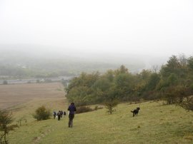 Oxted Downs