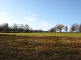 Ashdown Forest Golf Course