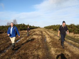 Striding out across Ashdown Forest