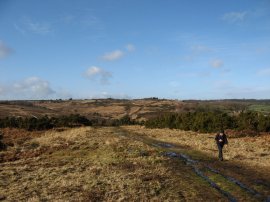 View back over Ashdown Forest