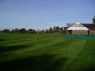 Cricket Pitch, Bell Common