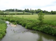 River Eden, nr Penshurst