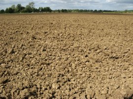 Another ploughed field