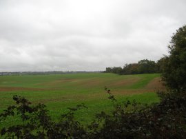 View from Shire Lane