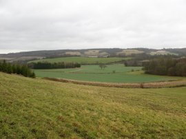 Field besides Warren Wood