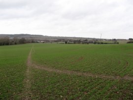 Field nr Chartham