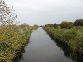Wantsum River