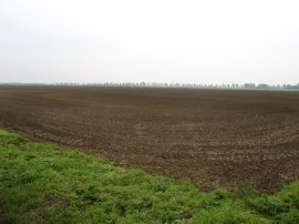 Fields, Chislet Marshes
