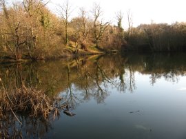 Pond nr Canterbury