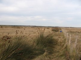 Approaching towards Pegwell Bay