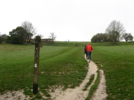Path onto the Downs