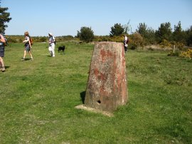 Camp Hill Clump Trig Point