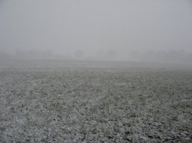 Field nr Haxted