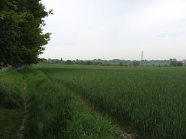 Path behind Woodnesborough Road