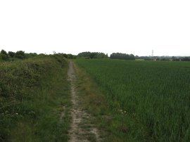 Path alongside the A256