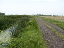 Track nr Goretop Lane