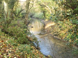 River Len by Spot Lane