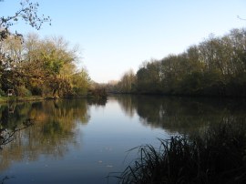 Old Mill Pond, Nr Leeds Kent