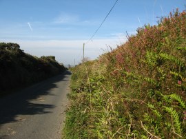 A Moorland Lane