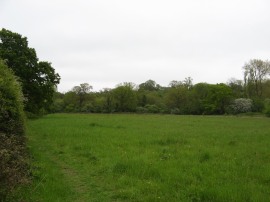 Totteridge Fields Nature Reserve