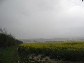 View towards the Downs