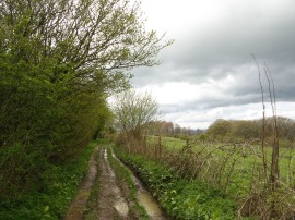 Path along the Downs
